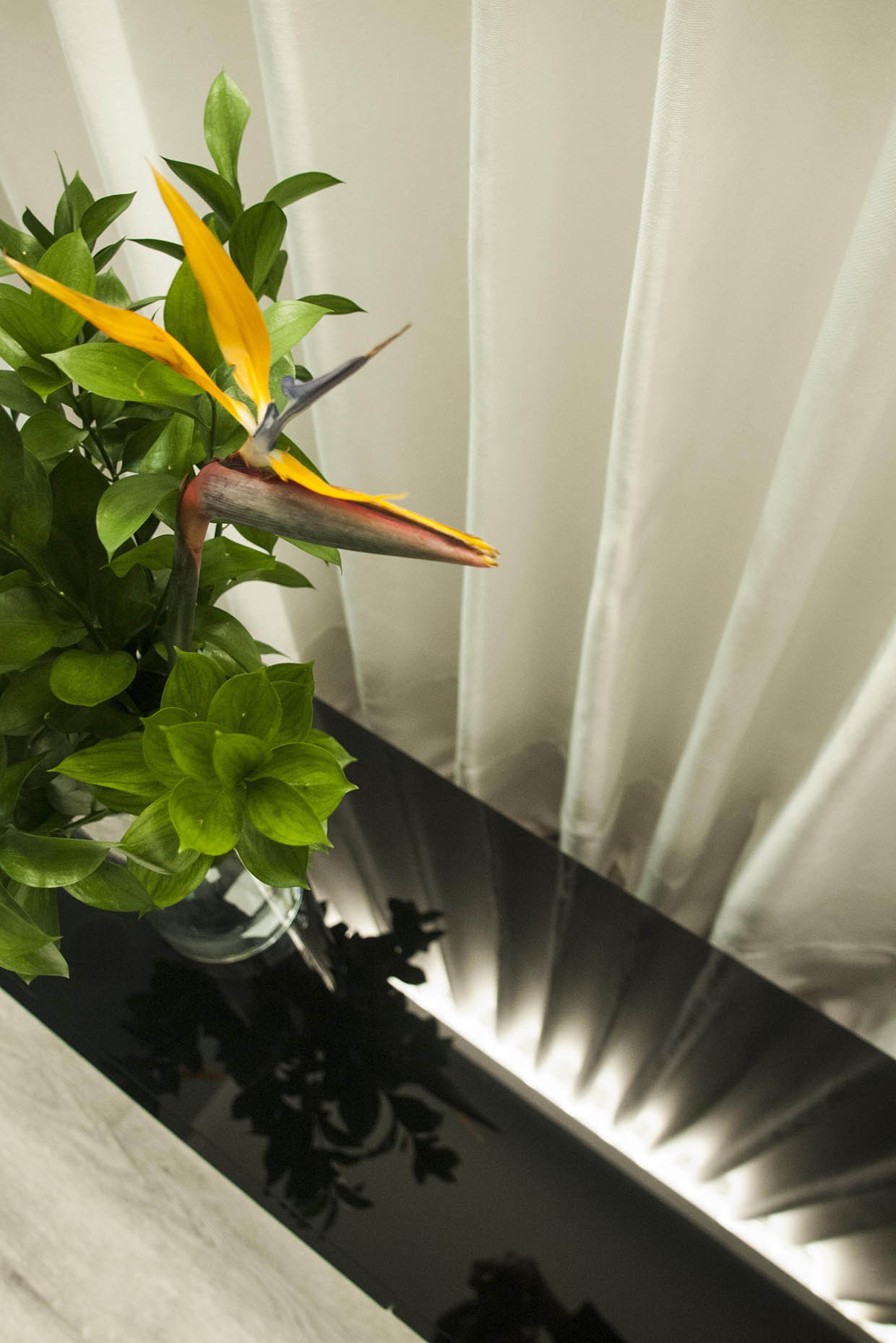 Detalle cortinas