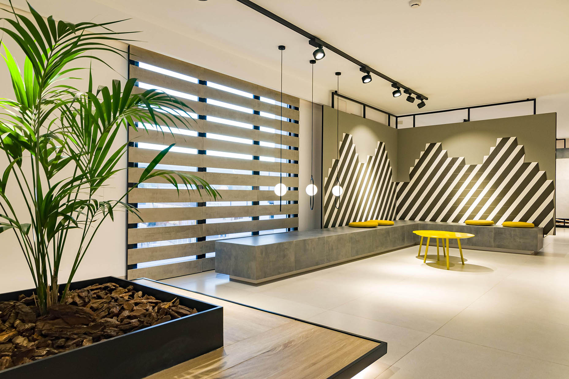Diseño y reforma de showroom