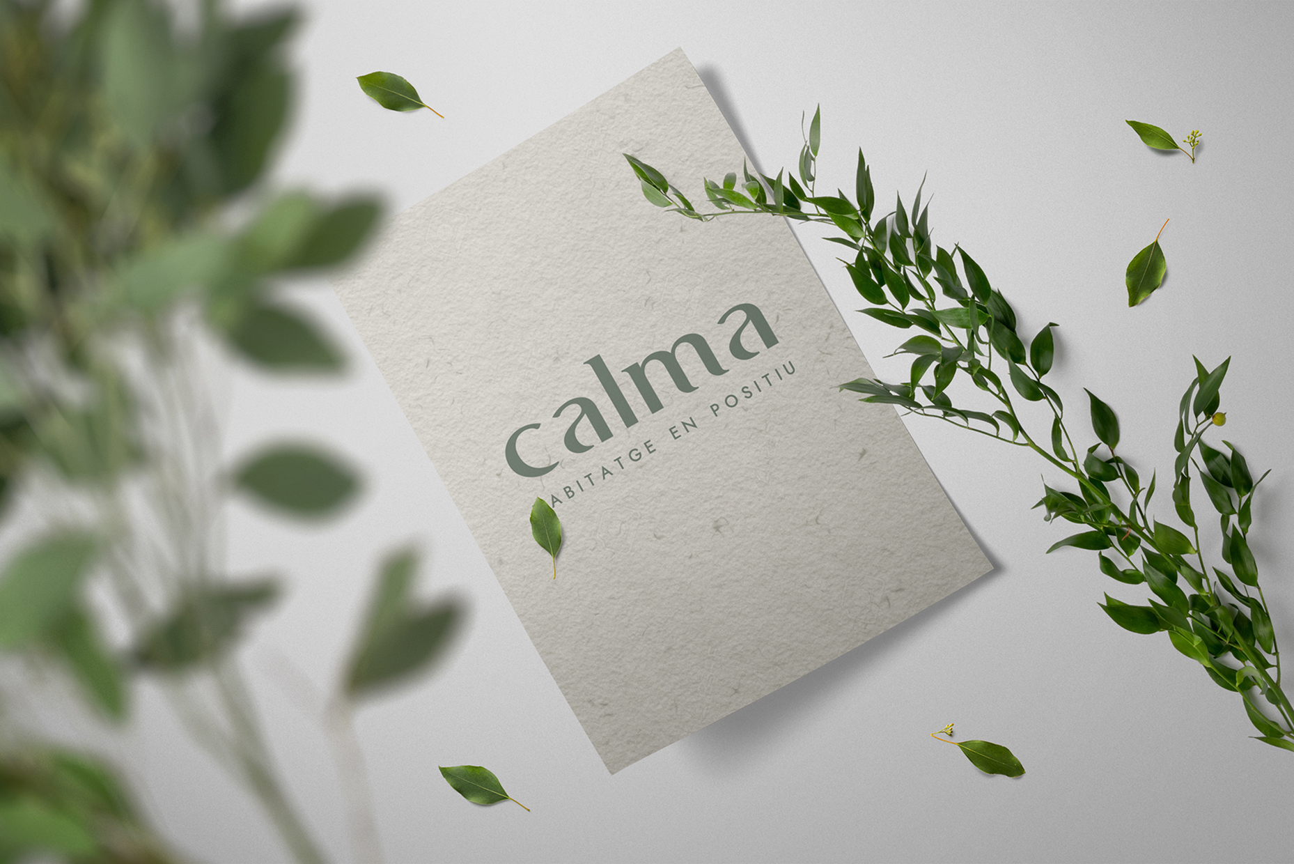 Estrategia y Branding-Calma-Vitale-03
