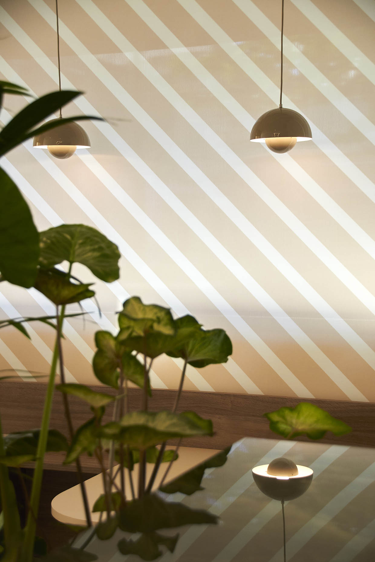Cortinas con rallado inclinado