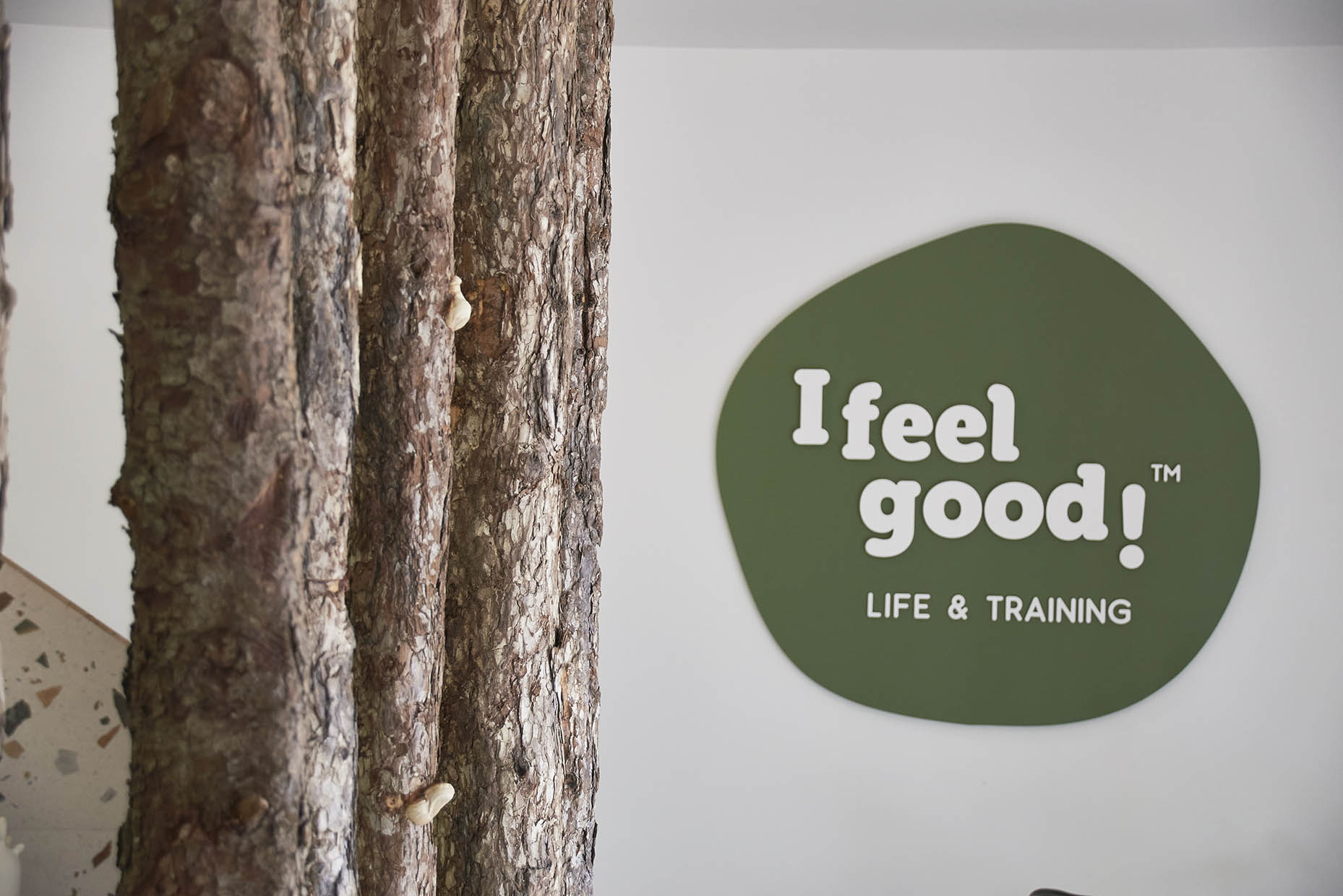Detalle de tronco de madera y logotipo "I feel good"