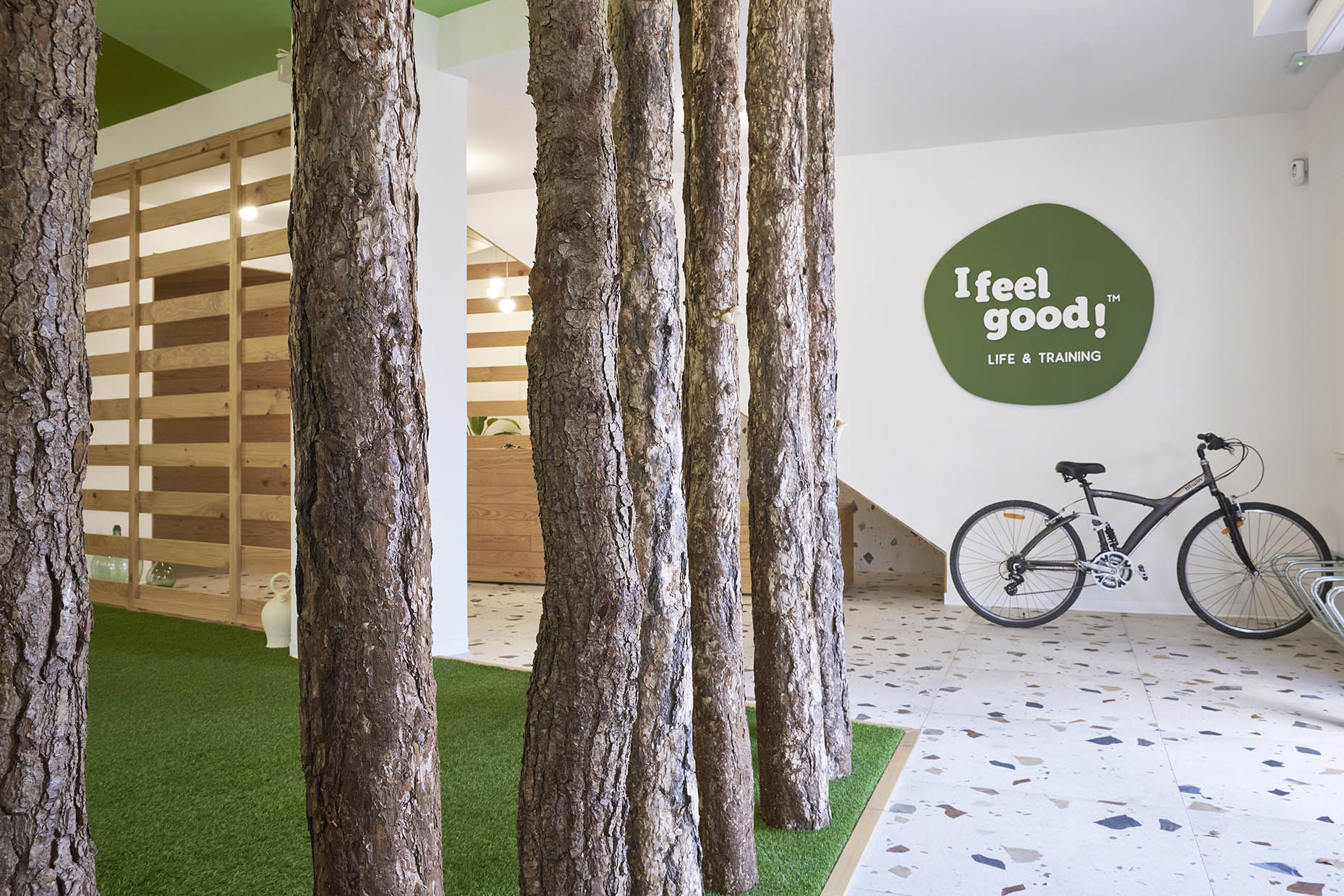 diseño entrada gimnasio
