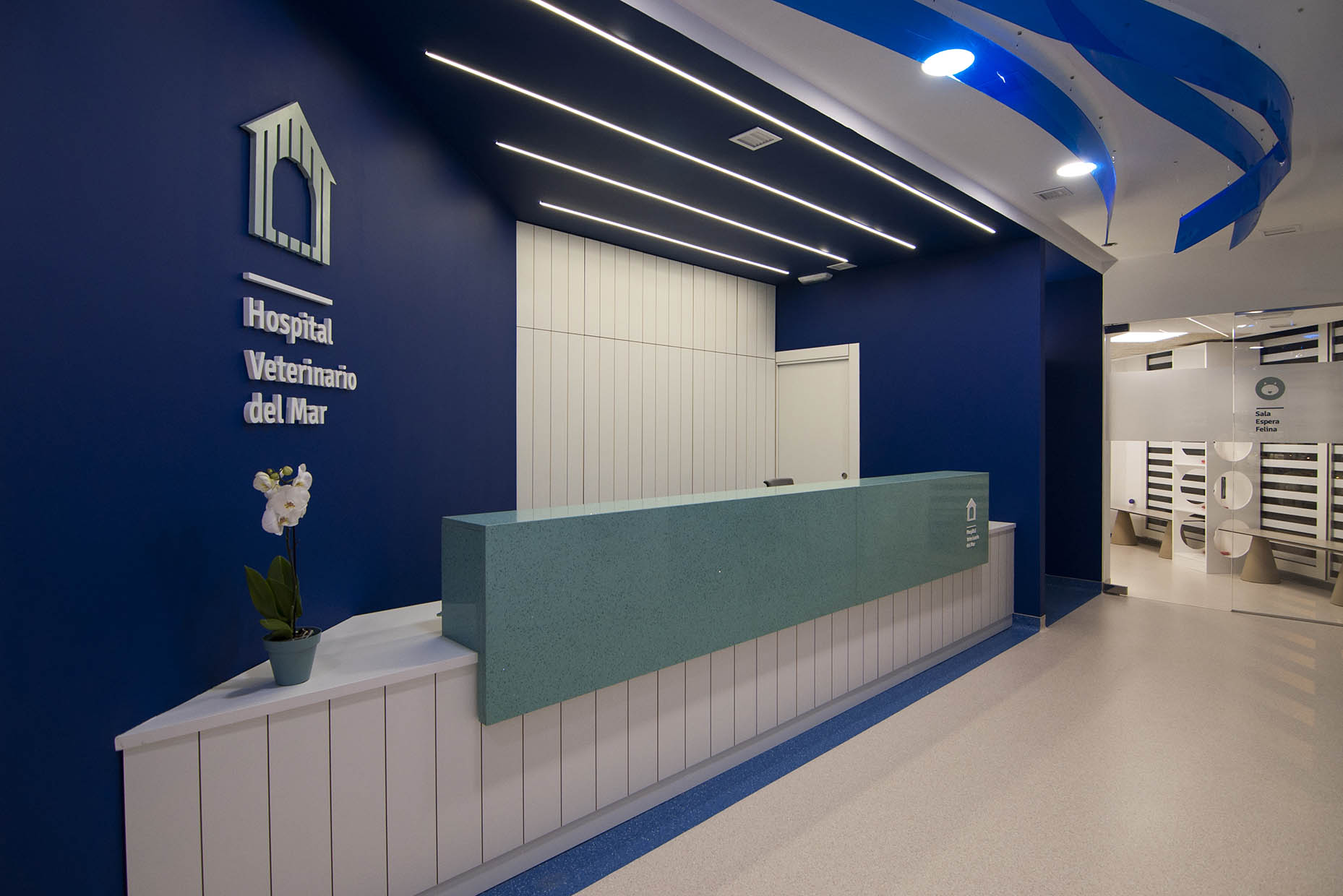 hospital-veterinario-del-mar-08-vitale