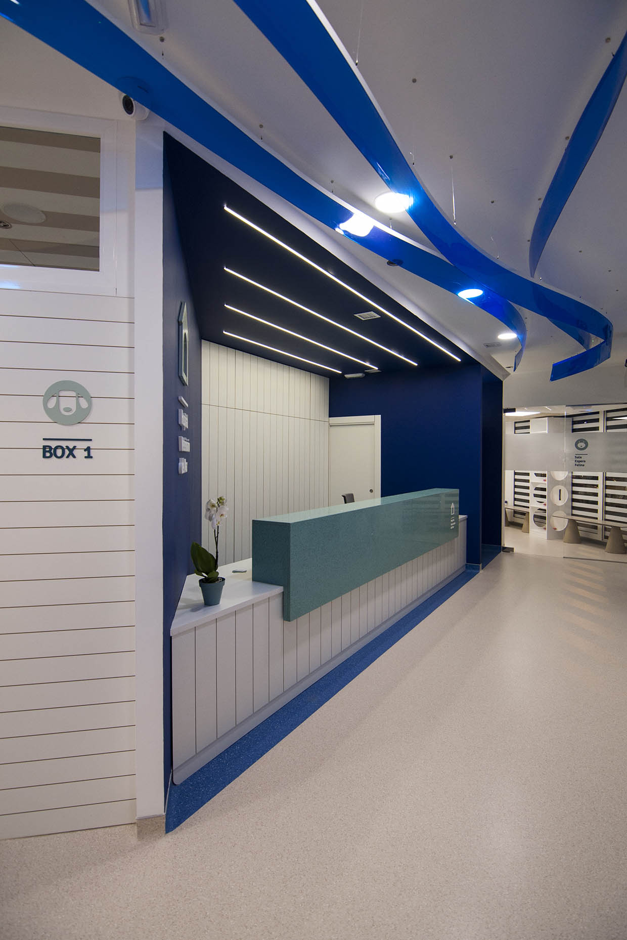 hospital-veterinario-del-mar-09-vitale