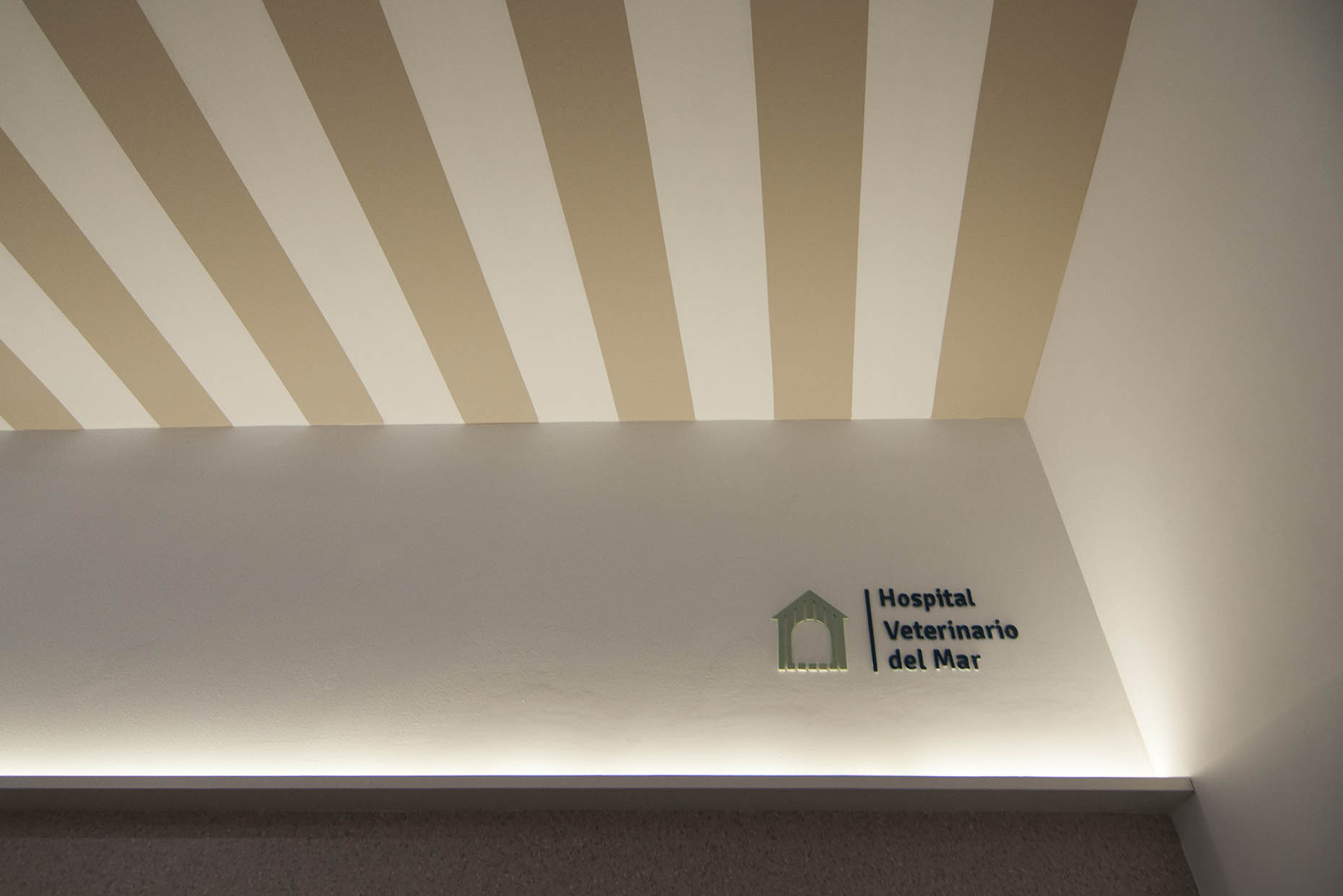 Diseño techos hospital veterinario