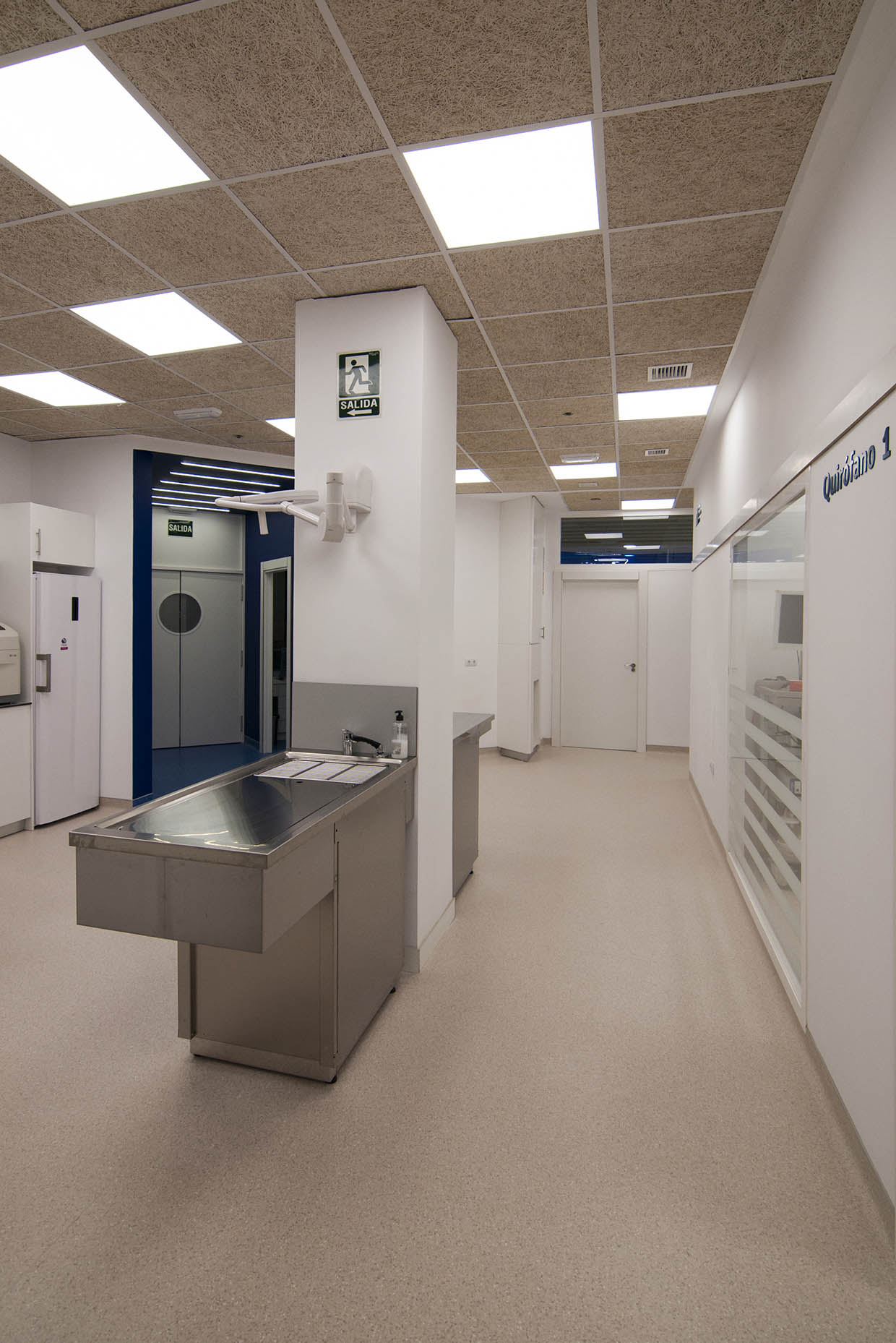 Urgencias hospital veterinario