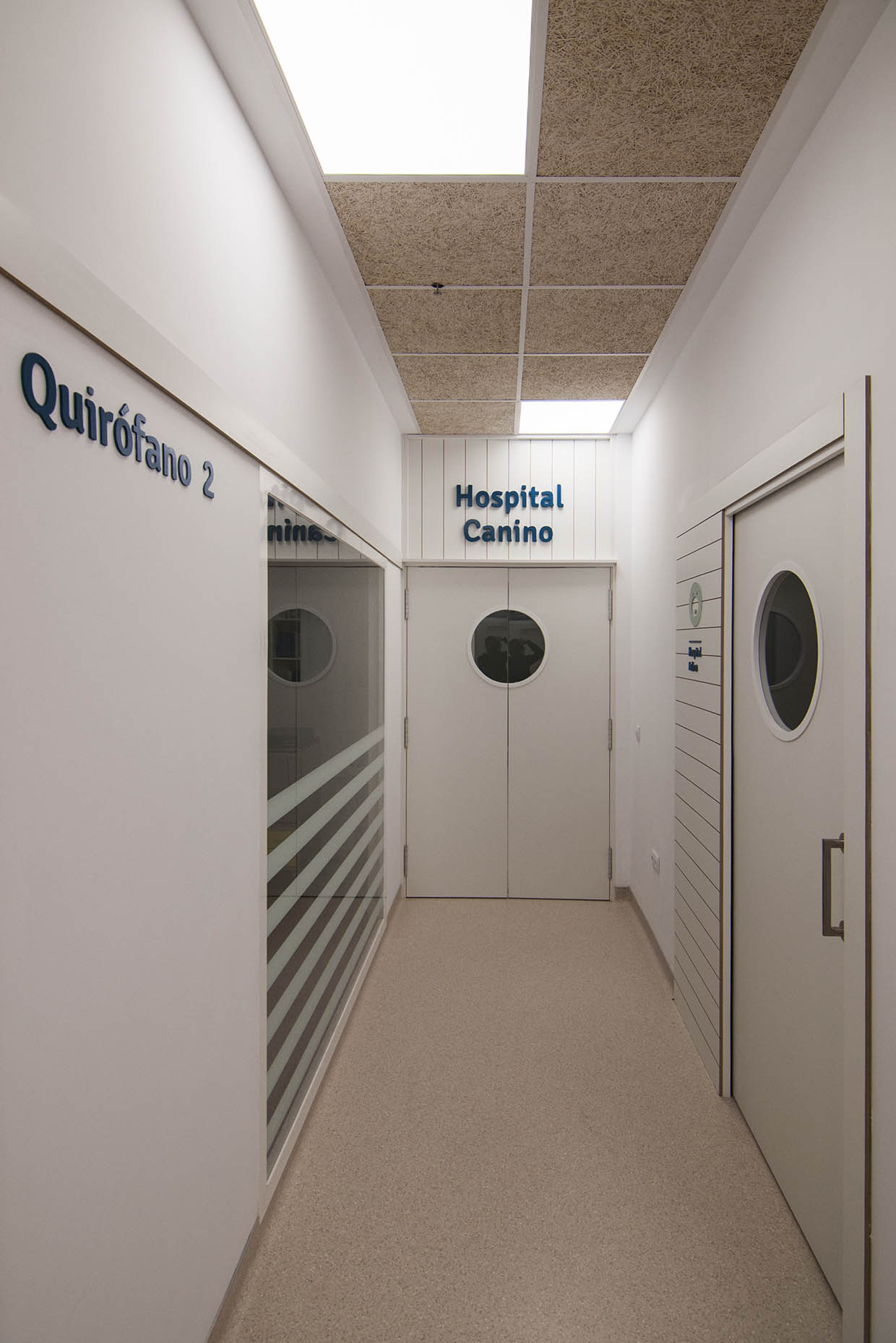 hospital-veterinario-del-mar-30-vitale
