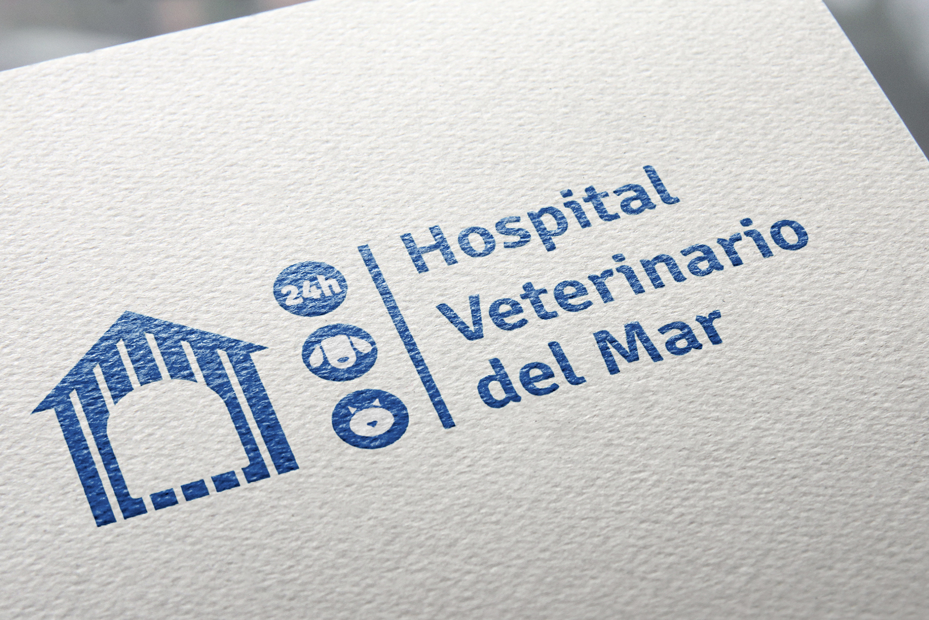 hospital-veterinario-del-mar-45-vitale