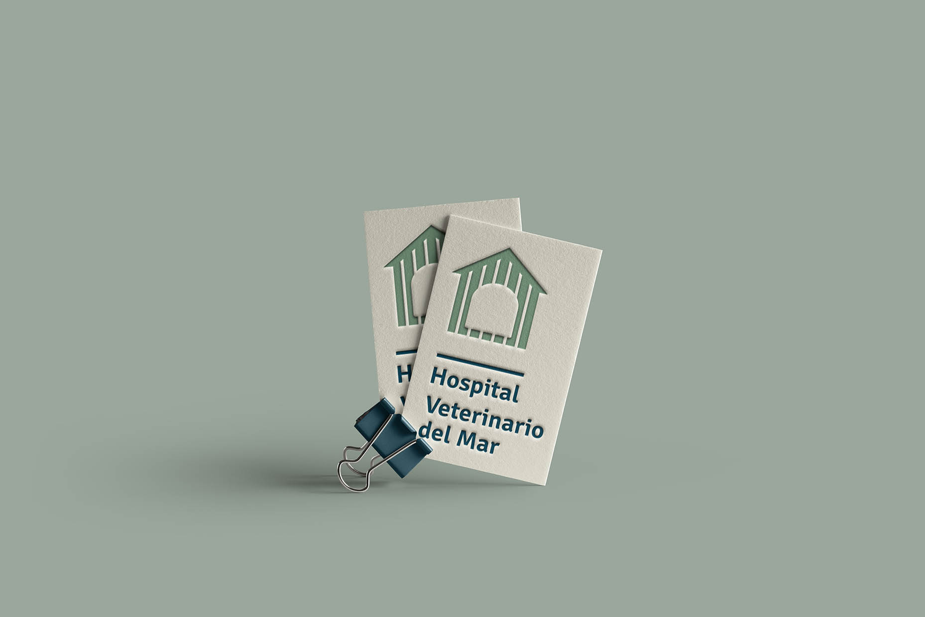 hospital-veterinario-del-mar-47-vitale