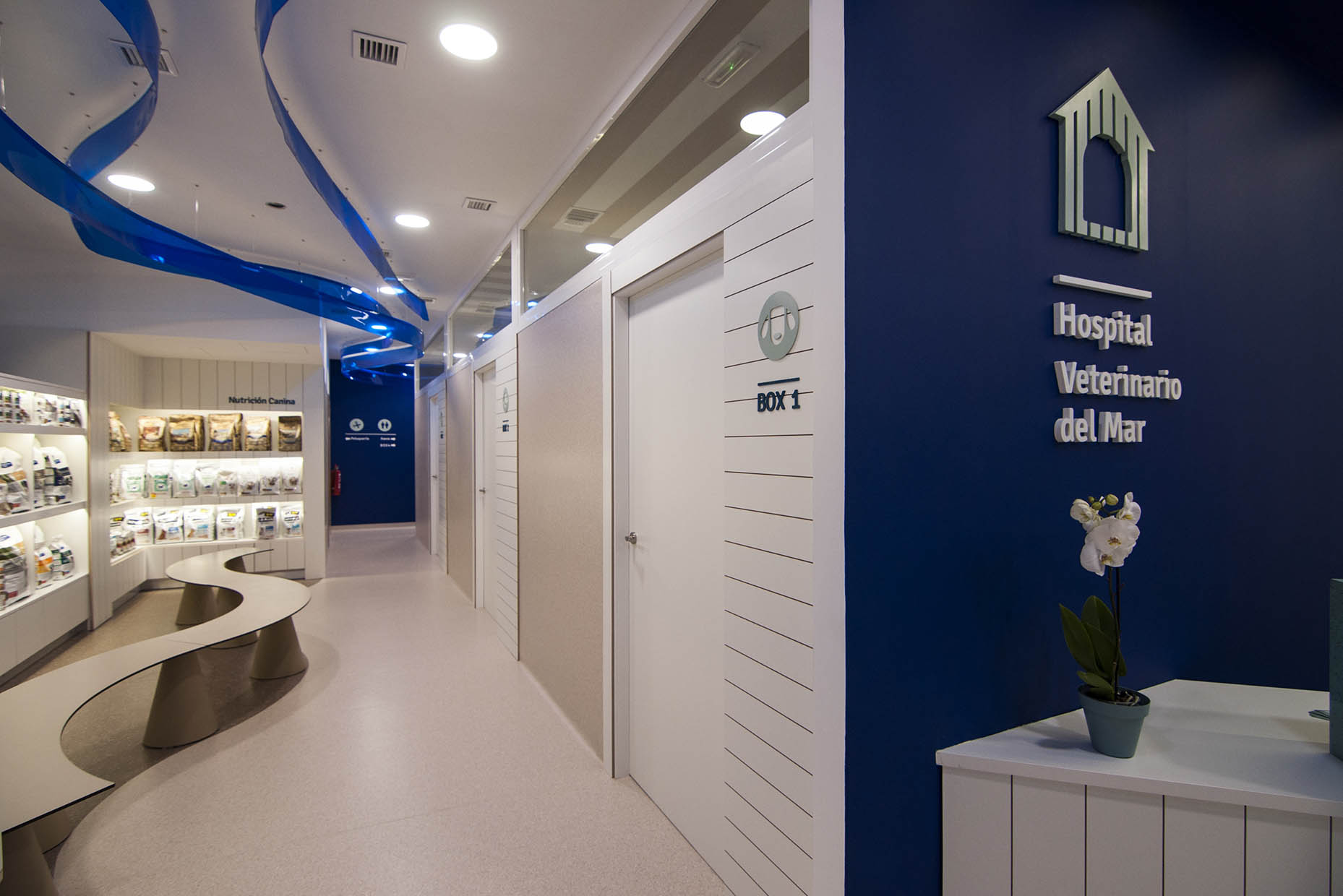 Diseño zona espera hospital veterinario