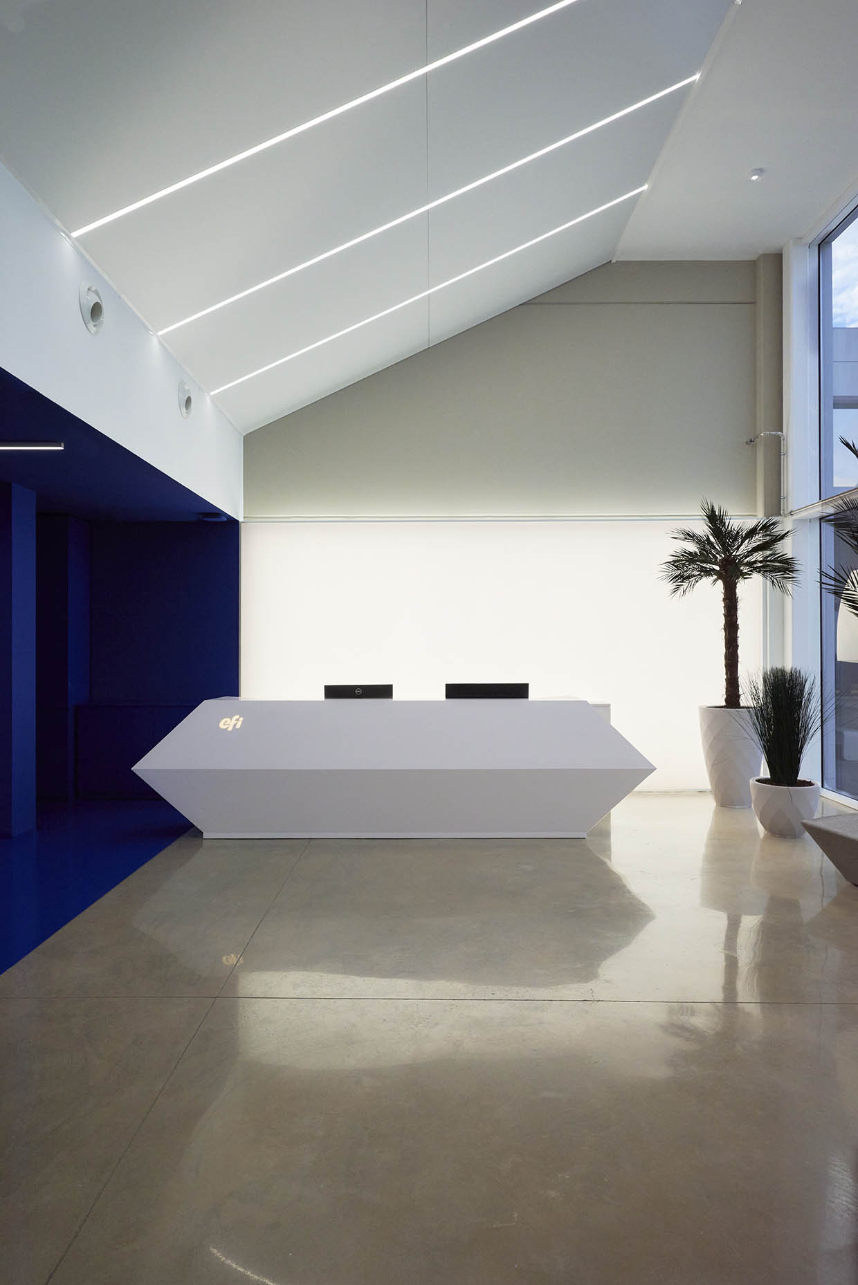 Diseño recepción oficina_Vitale_14_1