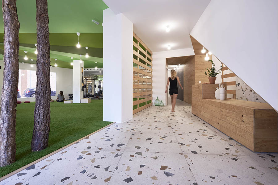 diseño biofílico gimnasio