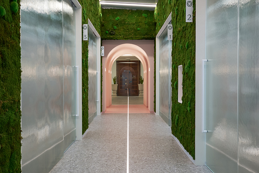 Pasiilo vegetal clínica dental