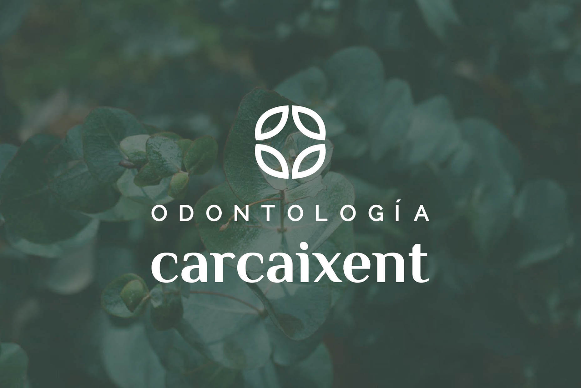 Especialistas en diseño de clínicas dentales y clínicas médicas.
Proyectos globales de diseño interior e interiorismo, comunicación y diseño de marca.
Interiorismo Valencia.